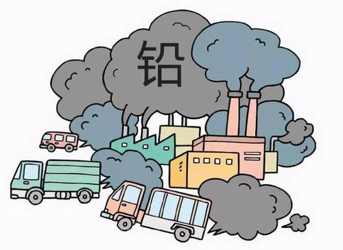 高速沿线绿化与土壤环境防护 为何禁种庄稼，重在防治什么？