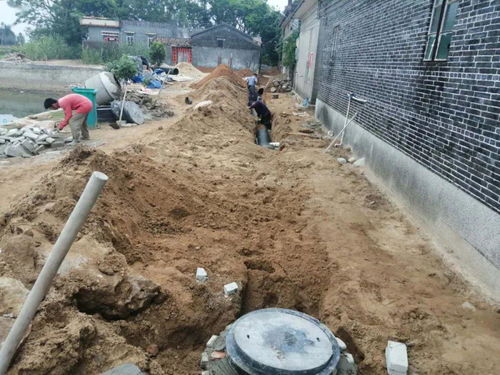 多管齐下，打造埠场生态文明新面貌——浅谈土壤环境污染防治服务体系建设