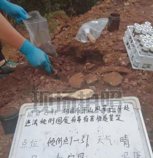 山羊拱土后离奇死亡 土壤背后的生命代价与污染防治警示